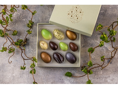 Xocolatl Golden eggs art 10