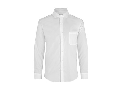 Poplin L/S modern fit