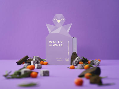 Wally and Whiz - Lilla: Lakrids med havt