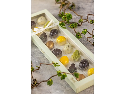 Xocolatl Spring feelig 16