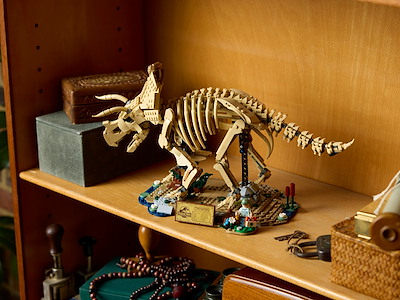Lego Dinosaurfossiler - Triceratops