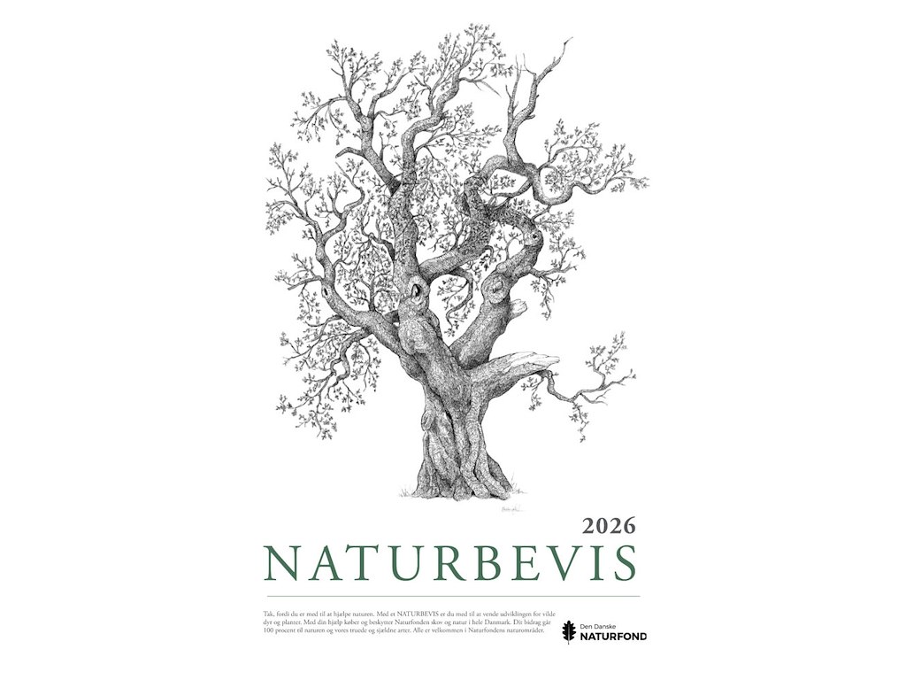 Donation til Den Danske Naturfond og få selv et smukt NATURBEVIS.
