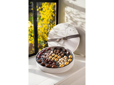 SummerBird Spring Collection