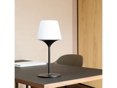 SACKit Lamp intelligent + Aalborg - Black 35
