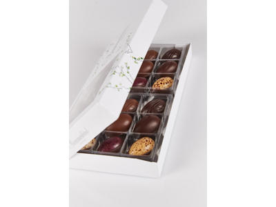 SummerBird Spring Favorites - 18