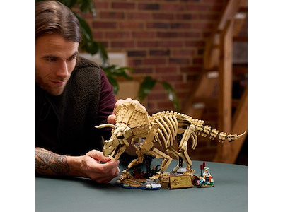 Lego Dinosaurfossiler - Triceratops