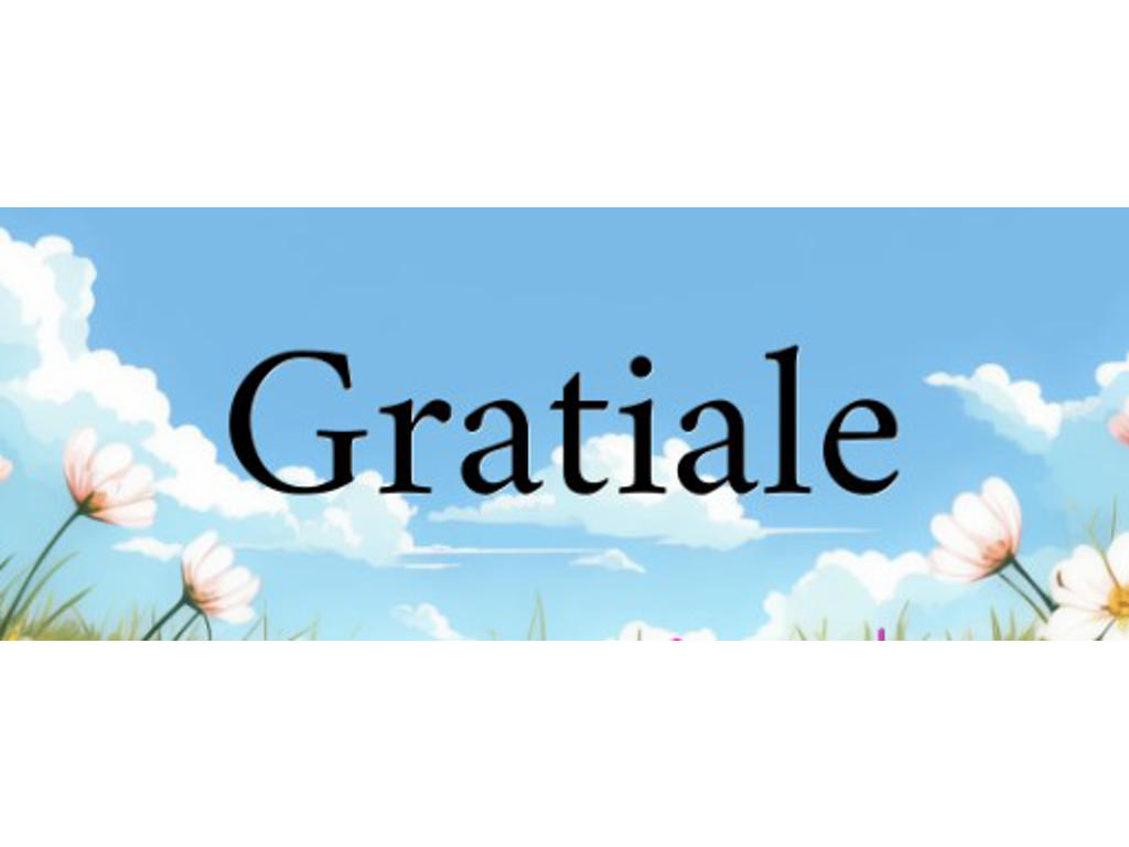 Gratiale på 3.000kr. 