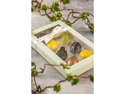 Xocolatl Spring Feeling 8