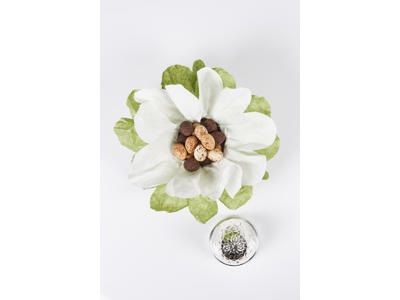 SummerBird Silver Egg - Classic